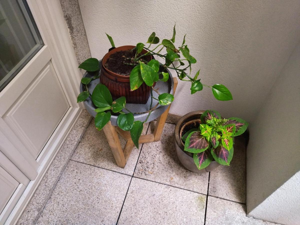Santa Catarina Patio Apartment - With Washer Machine بورتو المظهر الخارجي الصورة